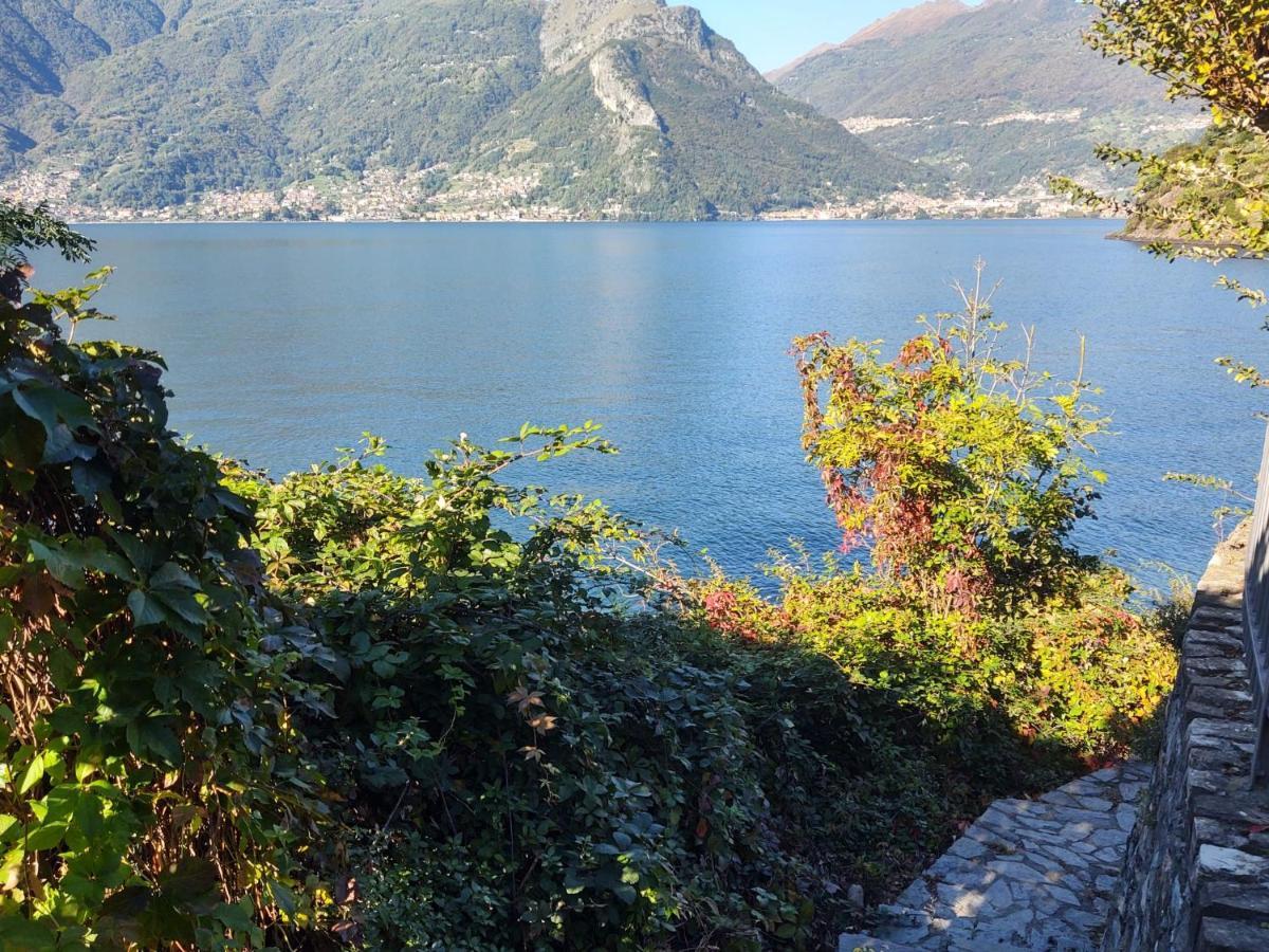 Appartamento Locazione Turistica Rivetta - DOX261 Olgiasca Esterno foto